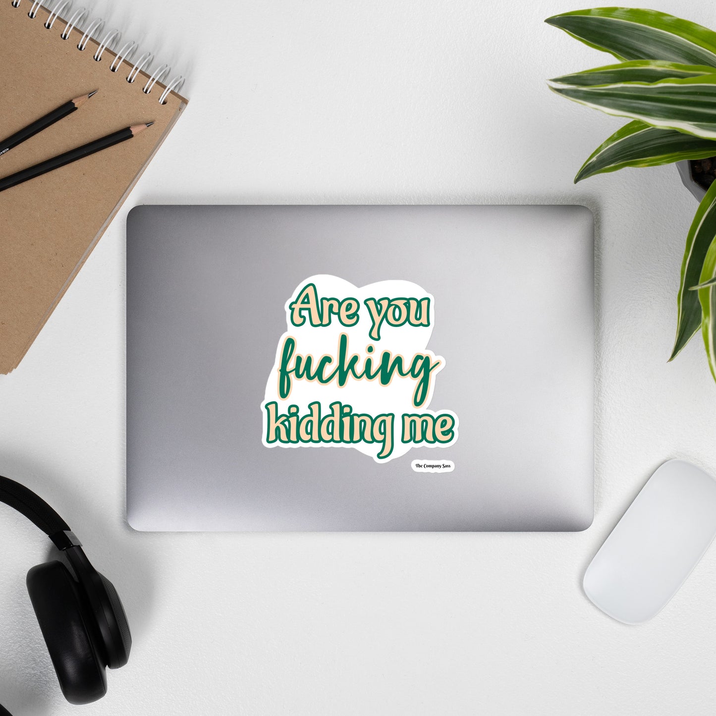 Are you fucking kidding me stickers